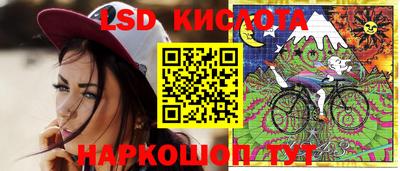 крисы Гусев