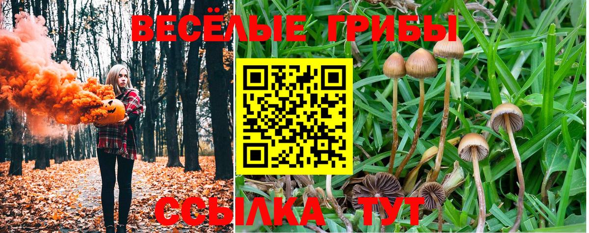 Псилоцибиновые грибы MAGIC MUSHROOMS Менделеевск